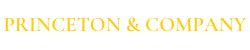 Princeton & Company – Management Consulting Logo